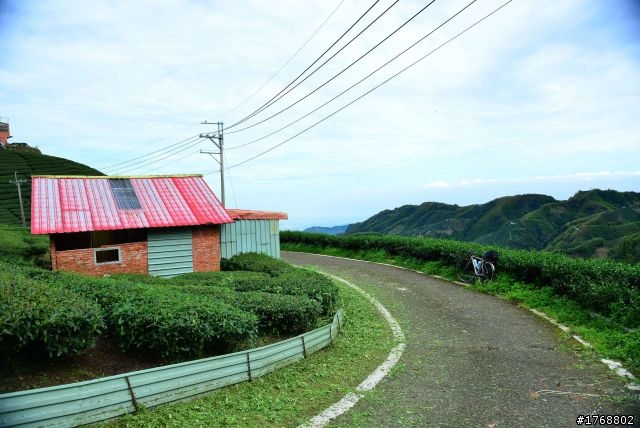 林內車站→竹山→12生肖彎→投49→竹山
