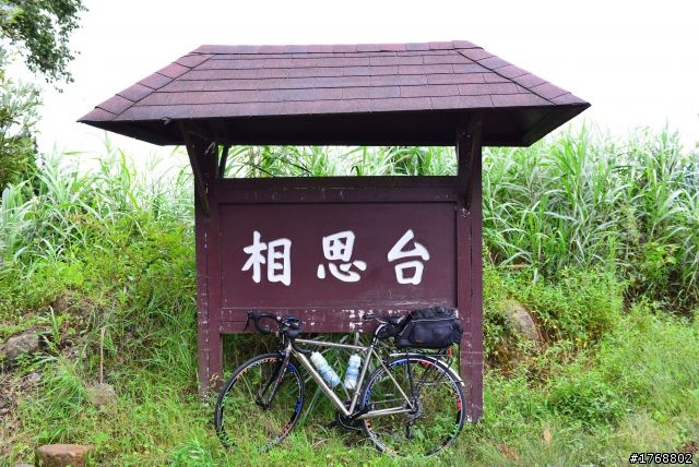 林內車站→竹山→12生肖彎→投49→竹山