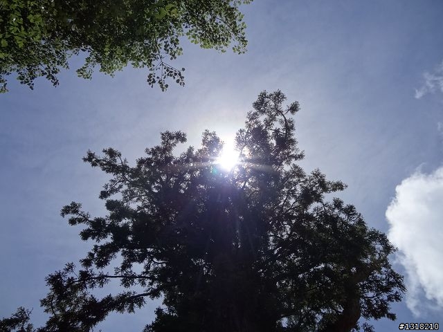 親子旅遊-太魯閣白楊步道