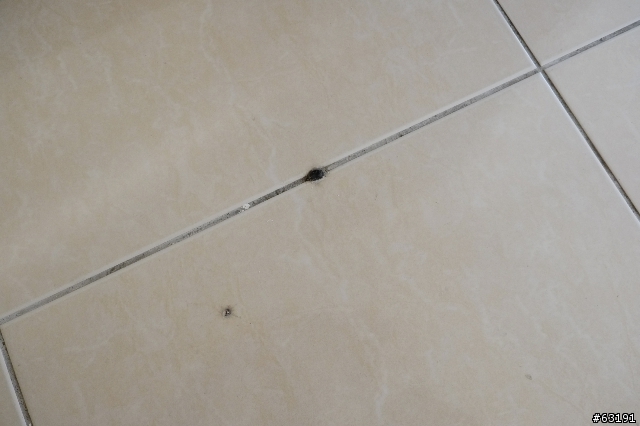 [請益]二樓地板地磚縫有怪怪的黑膠痕跡
