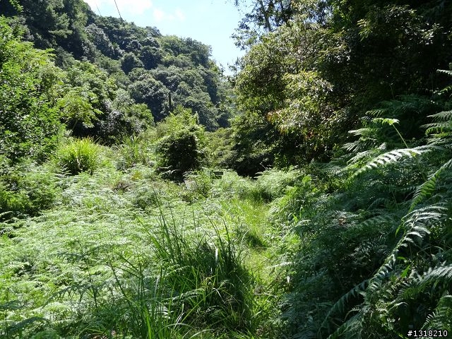 親子旅遊-太魯閣蓮花池步道