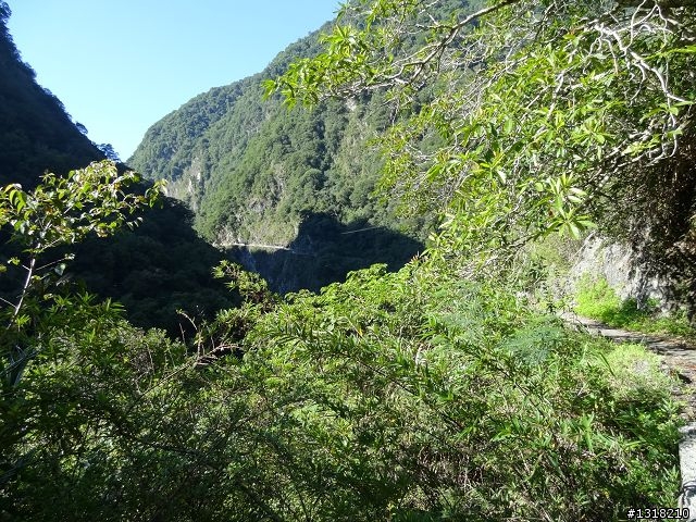 親子旅遊-太魯閣蓮花池步道