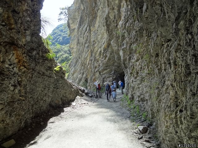 親子旅遊-太魯閣白楊步道