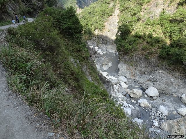 親子旅遊-太魯閣白楊步道
