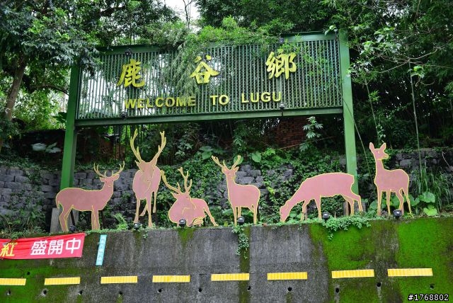林內車站→竹山→12生肖彎→投49→竹山