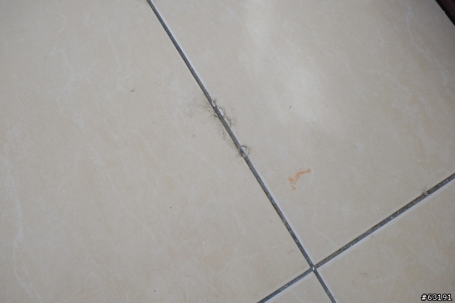 [請益]二樓地板地磚縫有怪怪的黑膠痕跡