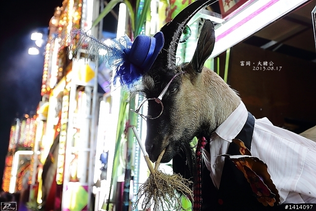 ★★6D夜拍大豬公----桃園富岡！