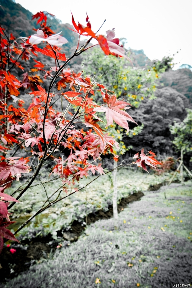 風景照對焦及設定請教~