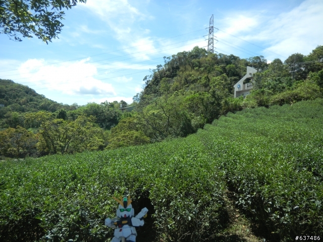 鋼彈菜籃車的宜蘭東澳一日遊