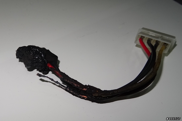 吃了燒燒果實的電腦