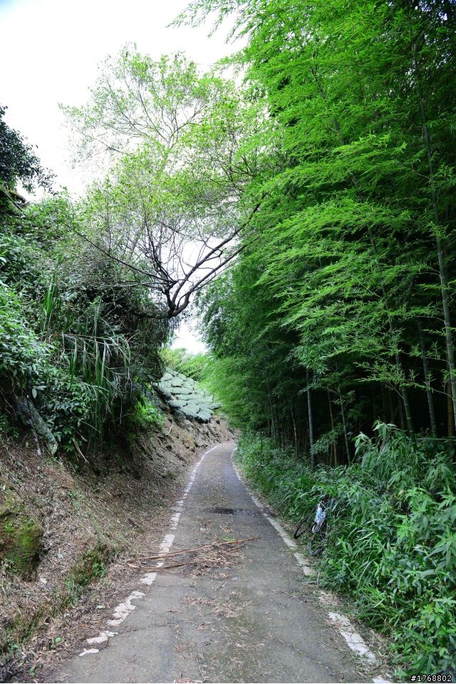 林內車站→竹山→12生肖彎→投49→竹山