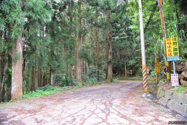 林內車站→竹山→12生肖彎→投49→竹山