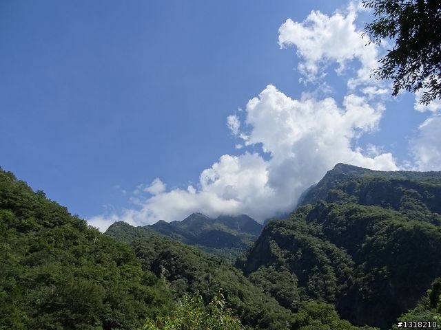 親子旅遊-太魯閣白楊步道