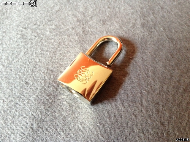 請大神鑑定Loewe包