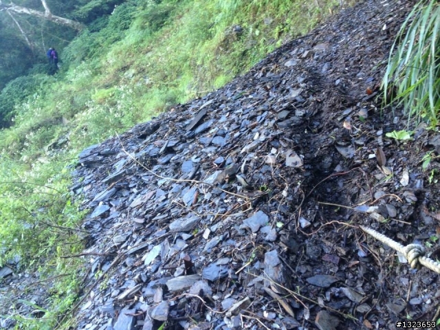 1020826 北大武爬山首航(檜谷山莊)