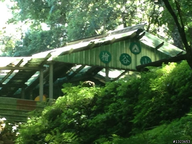 1020826 北大武爬山首航(檜谷山莊)