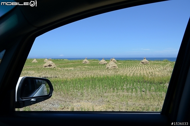 MPV的好，喜歡園藝就知道，滑門一開輕鬆把樹載回家。
