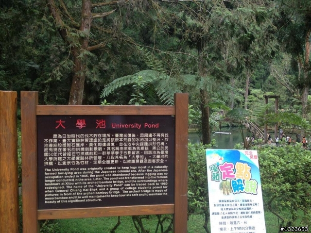 1020701 溪頭一日遊