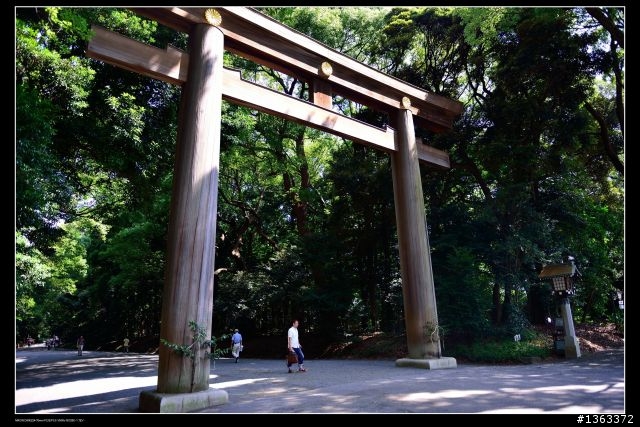 去年夏天，在東京