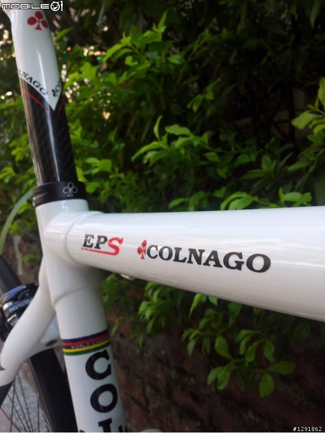 COLNAGO EPS 之戀！