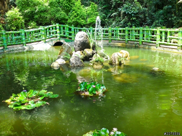 豔麗童話色彩