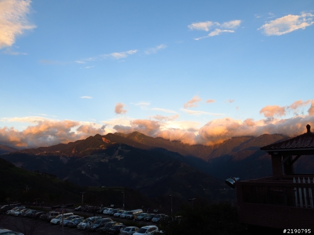 清境 新中橫 沒去成的阿里山
