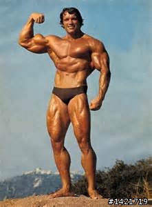 關於肌肉男星，阿諾和史特龍