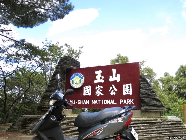 清境 新中橫 沒去成的阿里山