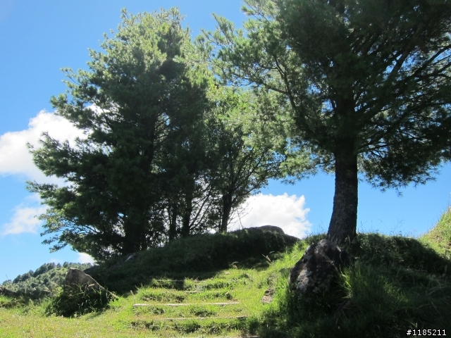 102年中秋節玉山國家公園登山健行
