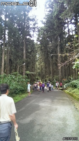 趁著中秋4連假，帶著NEW ONE去溪頭