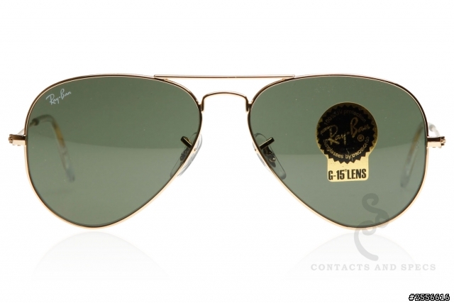 Ray Ban新眼鏡入荷