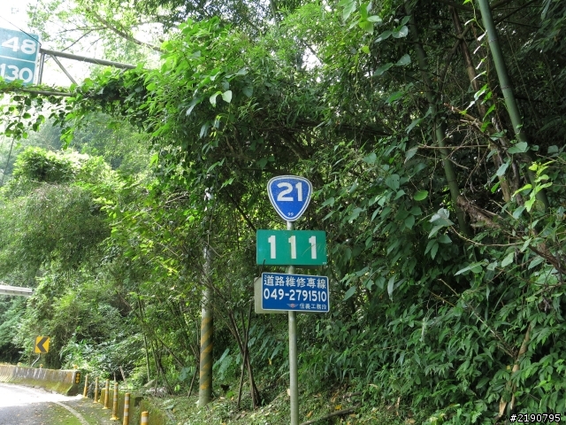清境 新中橫 沒去成的阿里山