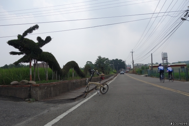 秋天好騎車，2013苗栗不落113，
