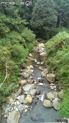 趁著中秋4連假，帶著NEW ONE去溪頭