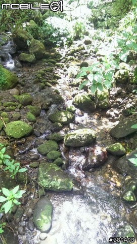 趁著中秋4連假，帶著NEW ONE去溪頭