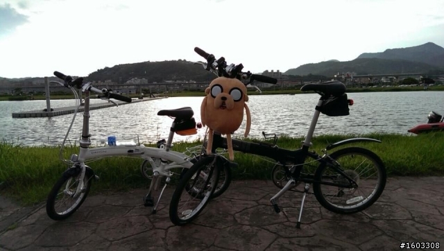 2013 DAHON Curve D7 對岸版Arc D7 (PA6672) 16"  小白((偷偷開...箱