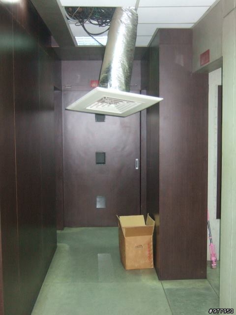 小貓咪救援
