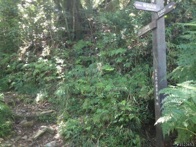 1020826 北大武爬山首航(檜谷山莊)