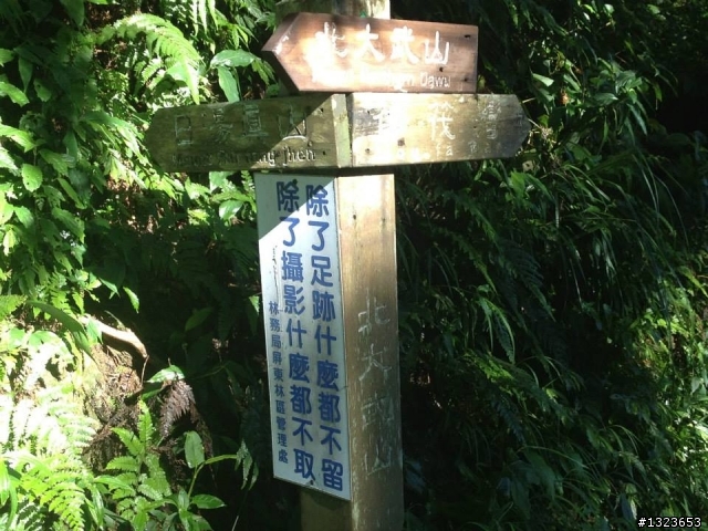 1020826 北大武爬山首航(檜谷山莊)