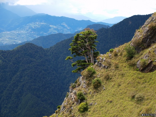 雪山主東山岳健走
