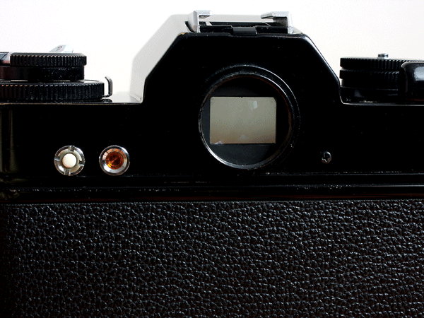 新古典美學進化 Nikomat ELW 與 Nikon FE