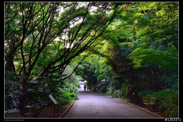 去年夏天，在東京