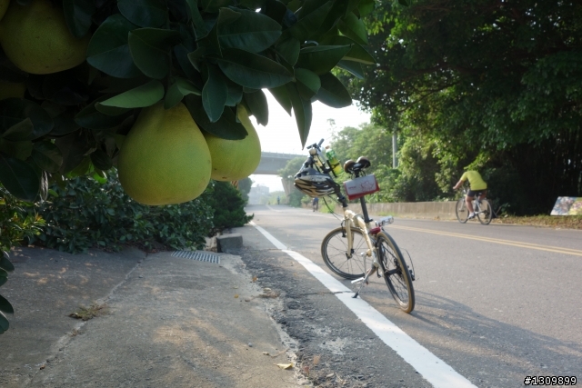 2013 苗栗苑裡 Life Bike 單車活動