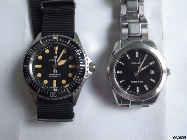 [開箱] 平價手錶 Steinhart