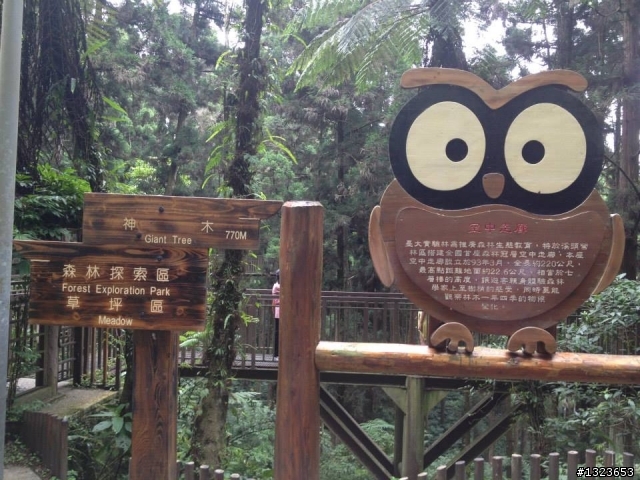 1020701 溪頭一日遊