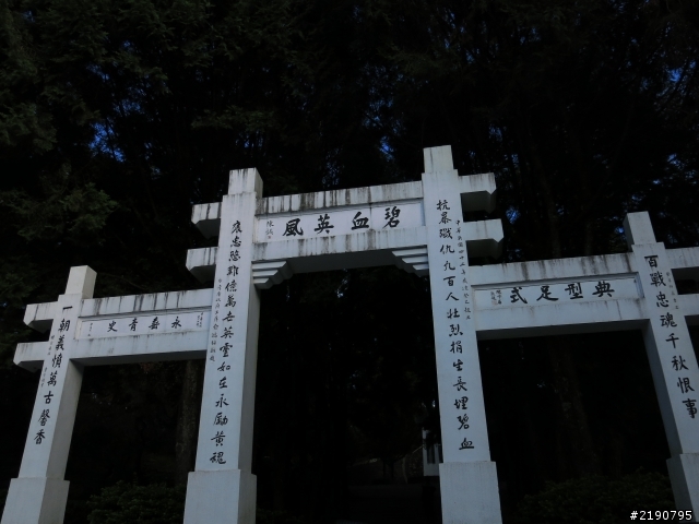 清境 新中橫 沒去成的阿里山