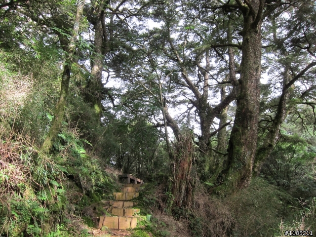 102年中秋節玉山國家公園登山健行