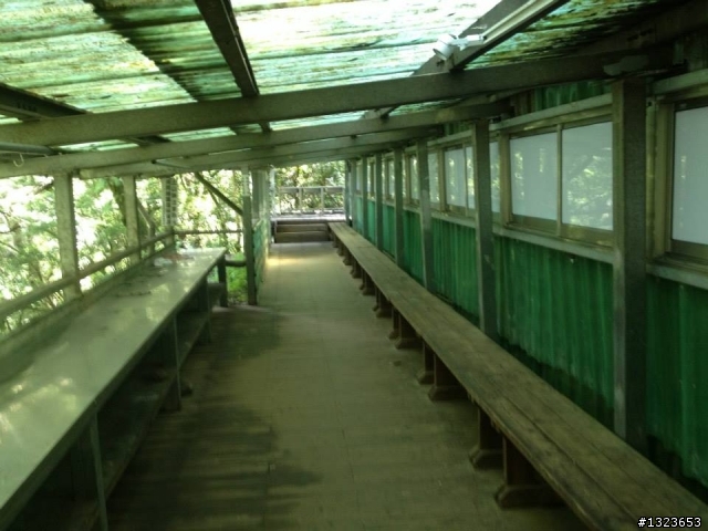 1020826 北大武爬山首航(檜谷山莊)