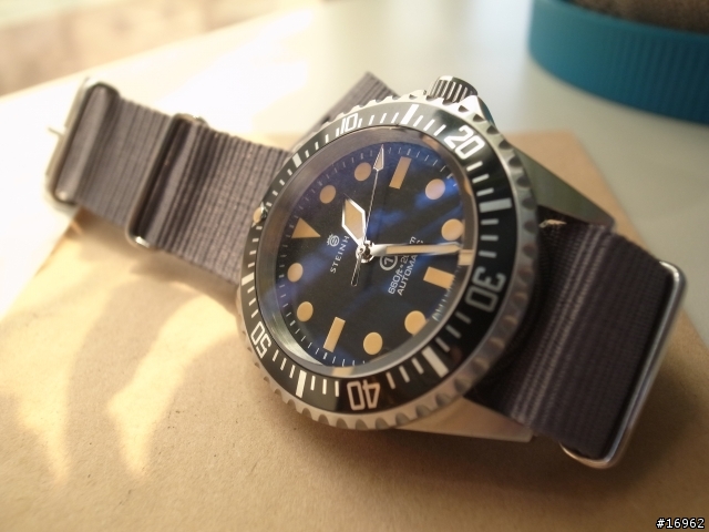[開箱] 平價手錶 Steinhart