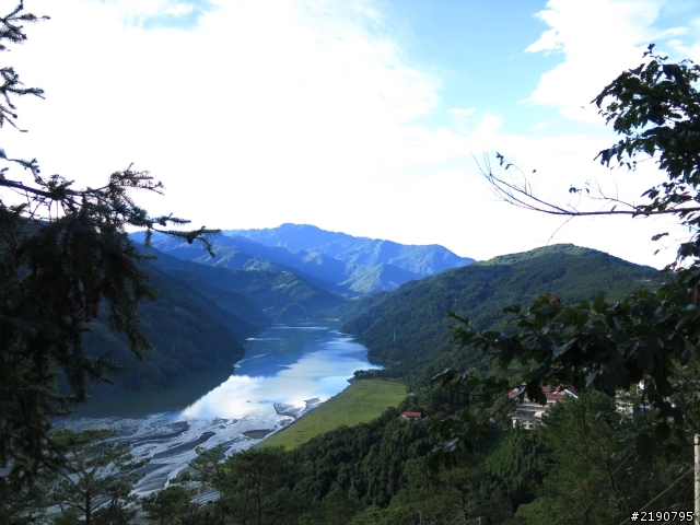 清境 新中橫 沒去成的阿里山